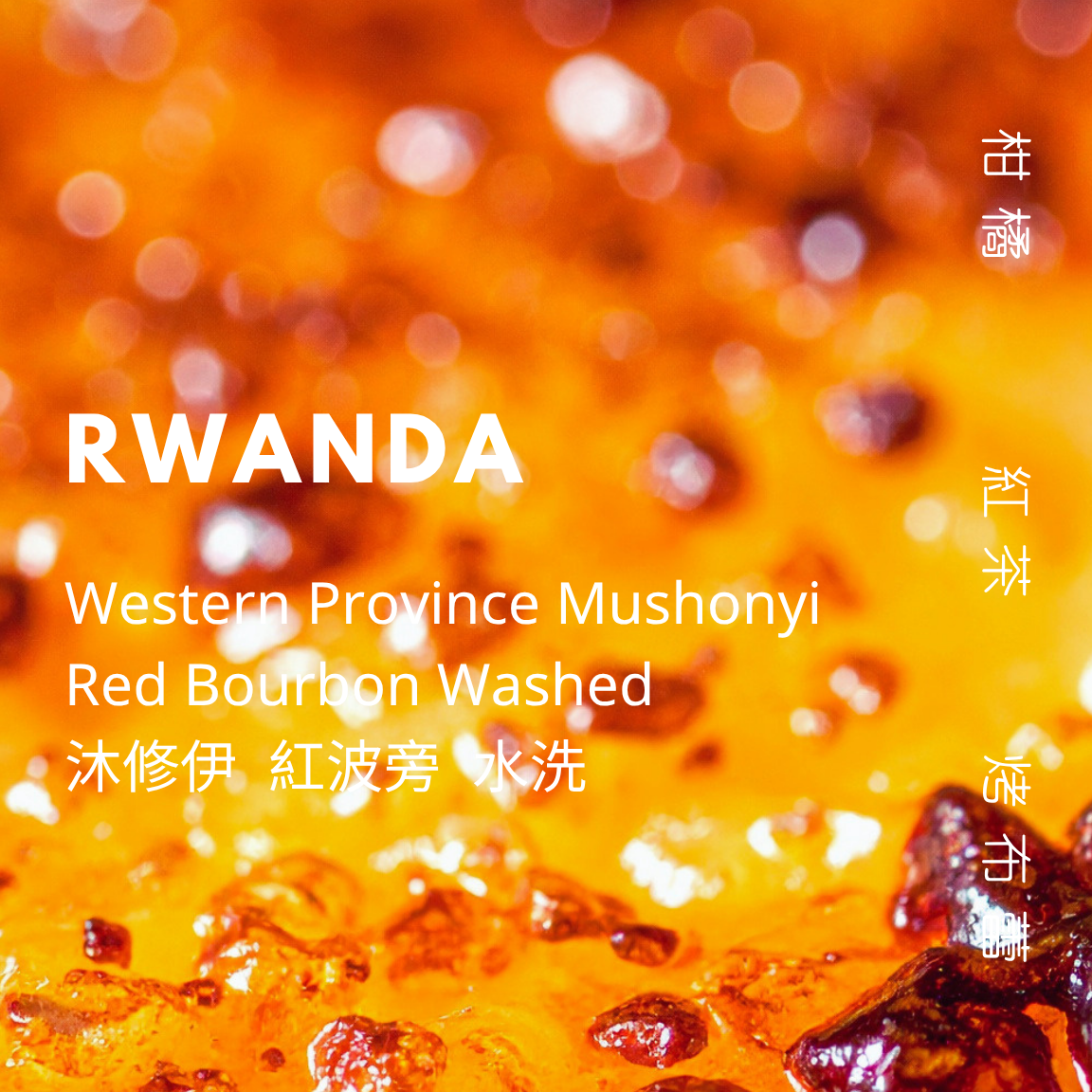 【豆人咖啡 Domain Coffee】盧安達 水洗 淺焙 | 自家烘焙咖啡豆