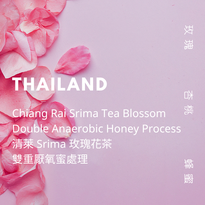 【豆人咖啡 Domain Coffee】泰國 清萊 Srima 玫瑰花茶 淺焙 | 自家烘焙咖啡豆