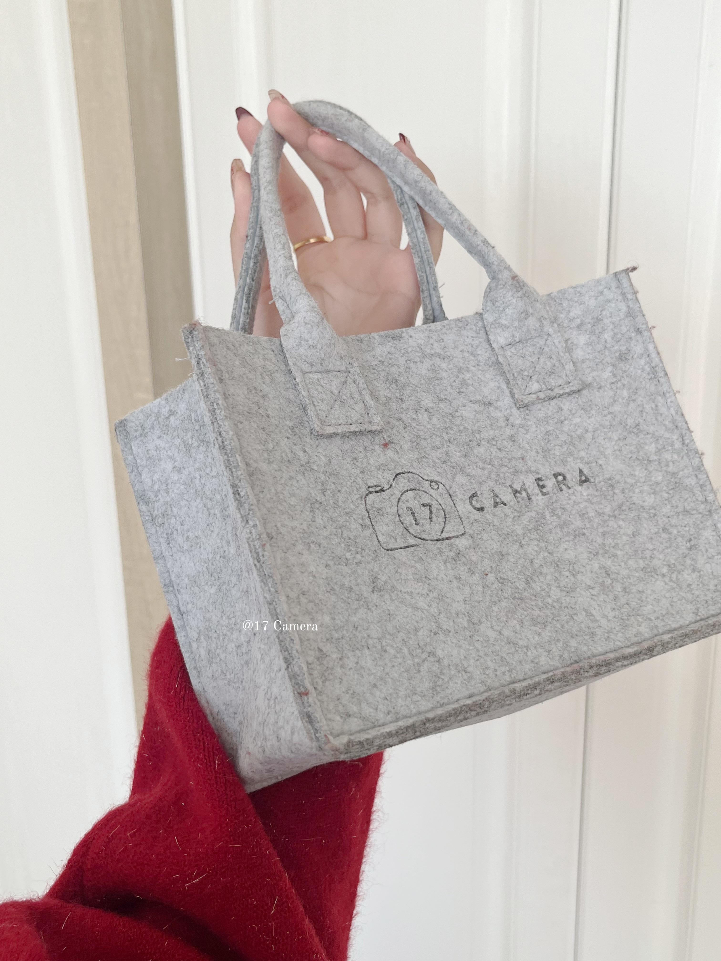 [2 colors] 17 Camera品牌相機手袋｜獨家訂做mini tote