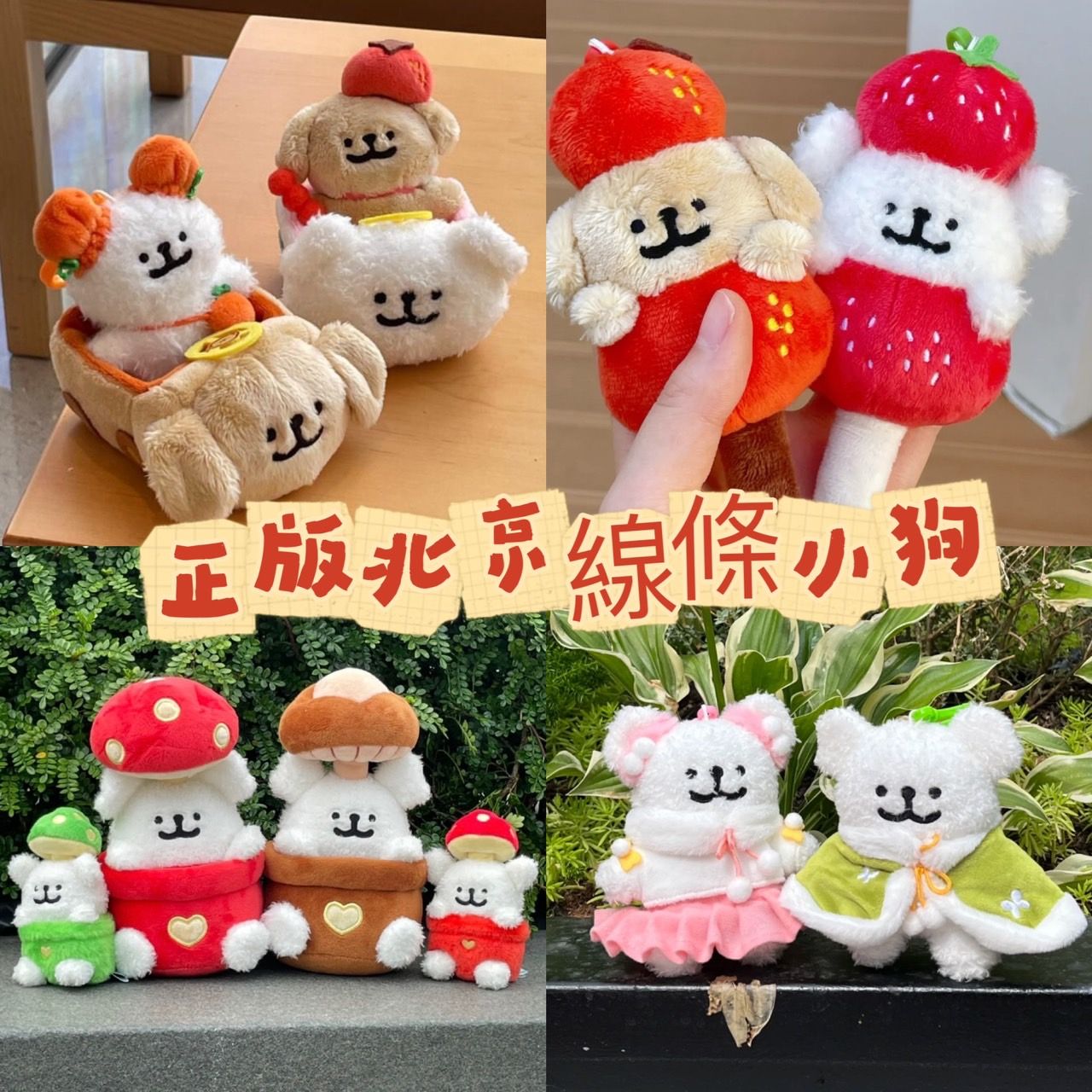 正版授權 線條小狗-北京快閃限定®-預購