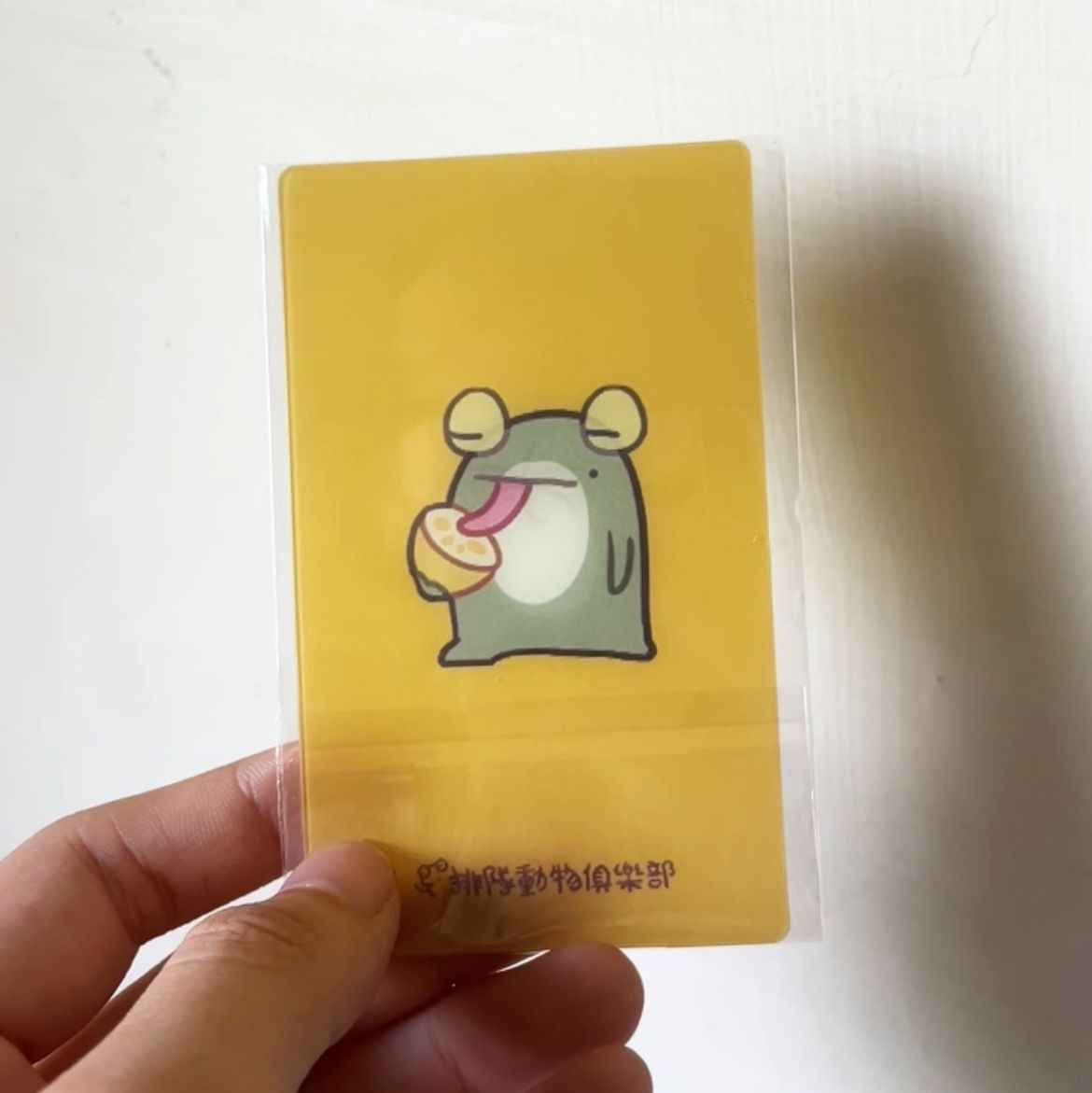 【排隊動物俱樂部】吃檸檬光柵卡