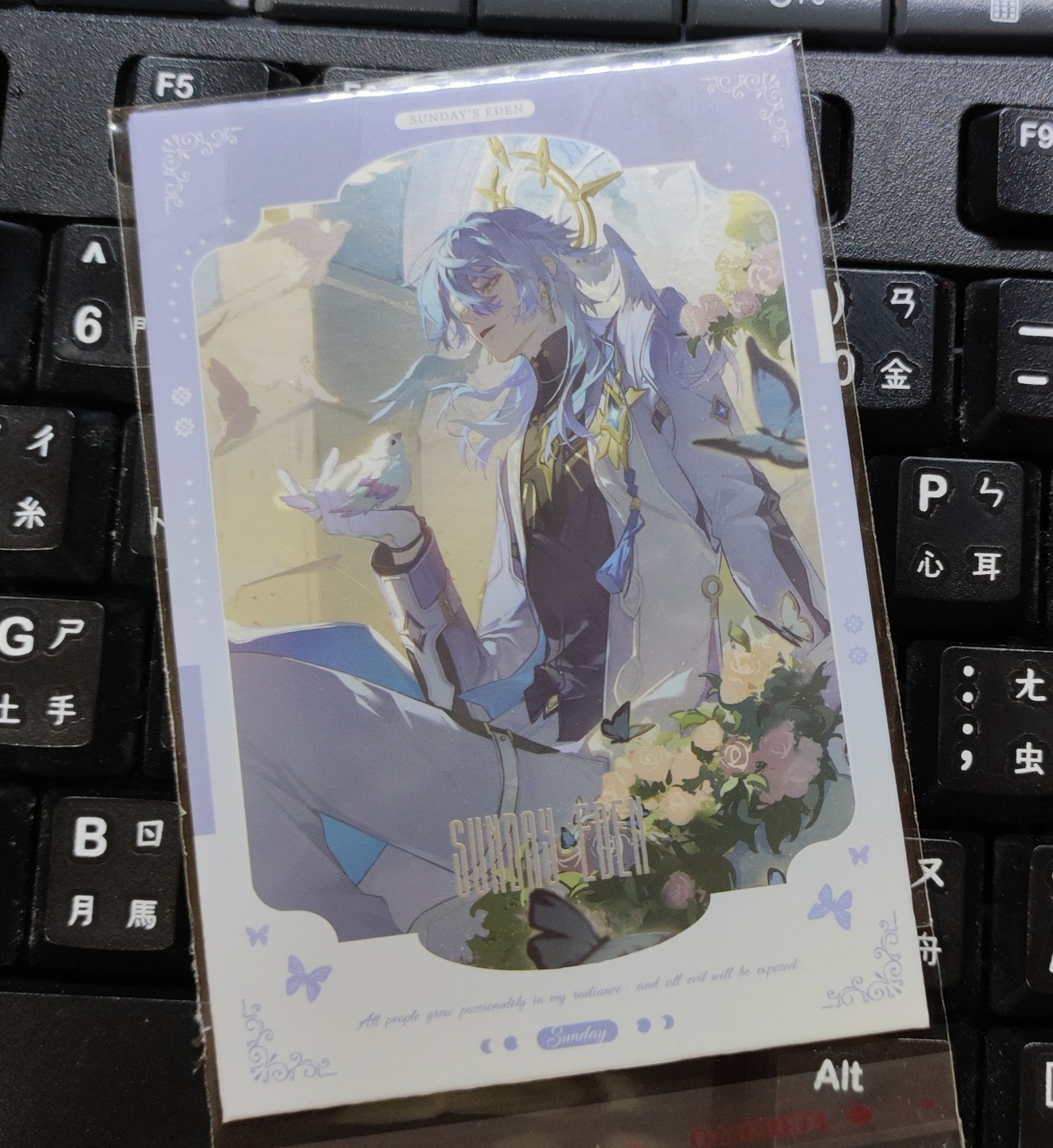 星期日專區（2）