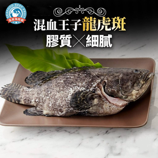 珍珠龍虎石斑魚 400/500g 三去真空