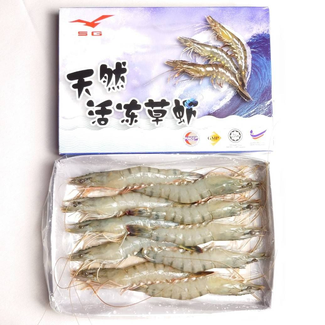 馬來西亞活凍草蝦 270g 10P