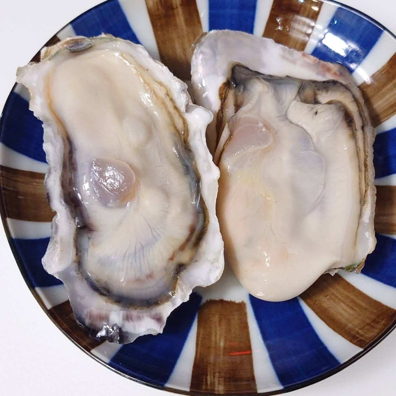 日本全殼生蠔 - 3顆裝