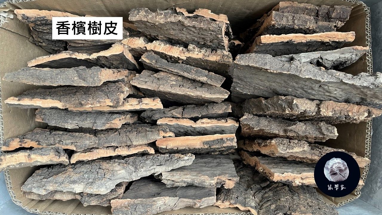 香檳樹皮