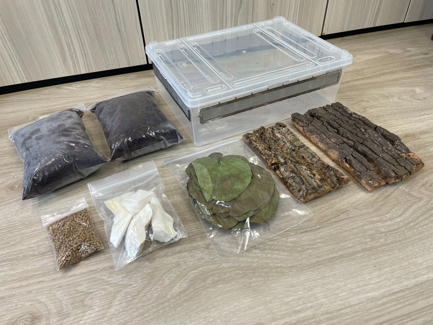 新手飼養套組（購買一組鼠婦才能購買一個套組）