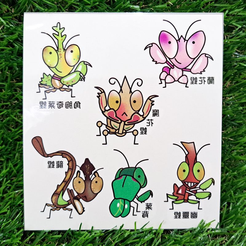 快樂蟲拜 【紋身貼紙】角胸奇葉螳、魔花螳、蘭花螳、龍螳、葉背螳、幽靈螳   昆蟲竹節蟲葉脩蟋蟀螽斯蝴蝶
