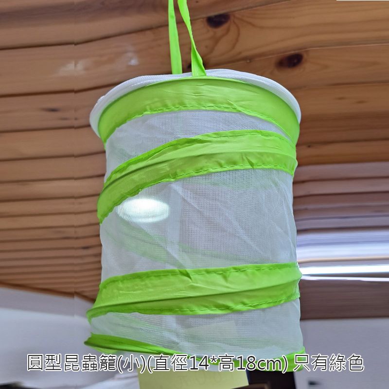 快樂蟲拜 【昆蟲網籠】黑綠兩色可選   昆蟲竹節蟲葉脩蟋蟀螽斯蝴蝶爬蟲
