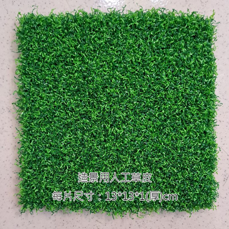 快樂蟲拜 【人工草皮造景】  昆蟲竹節蟲葉脩蟋蟀螽斯蝴蝶爬蟲