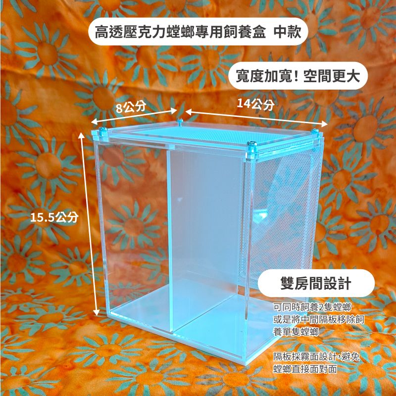 快樂蟲拜 【高透壓克力螳螂專用飼養盒】黑白兩色可選   昆蟲竹節蟲葉脩蟋蟀螽斯蝴蝶爬蟲