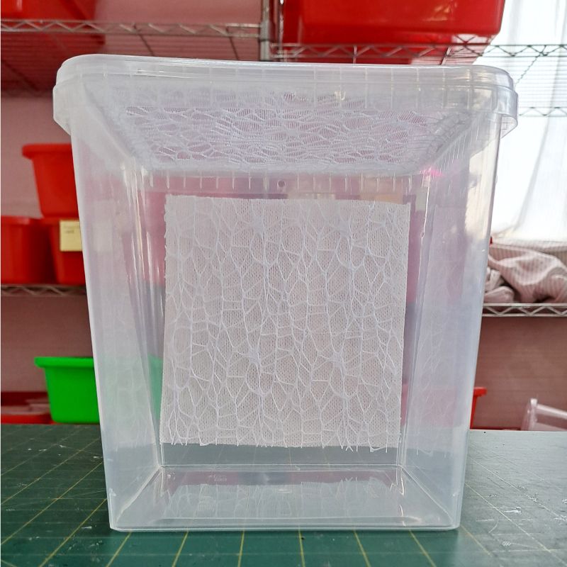 快樂蟲拜 【祈星5500改大飼養盒】  昆蟲竹節蟲葉脩蟋蟀螽斯蝴蝶爬蟲