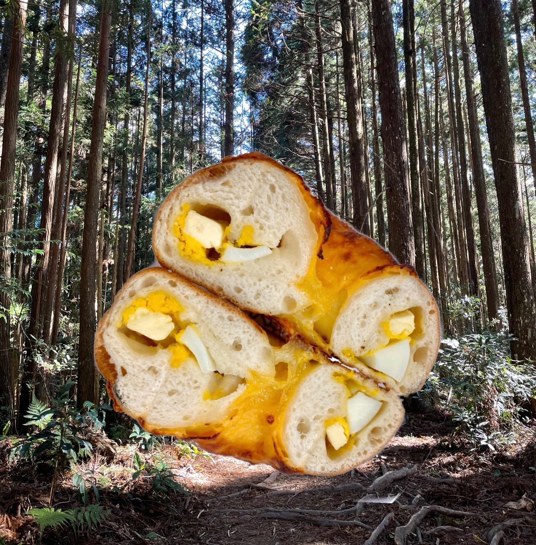 很快樂貝果