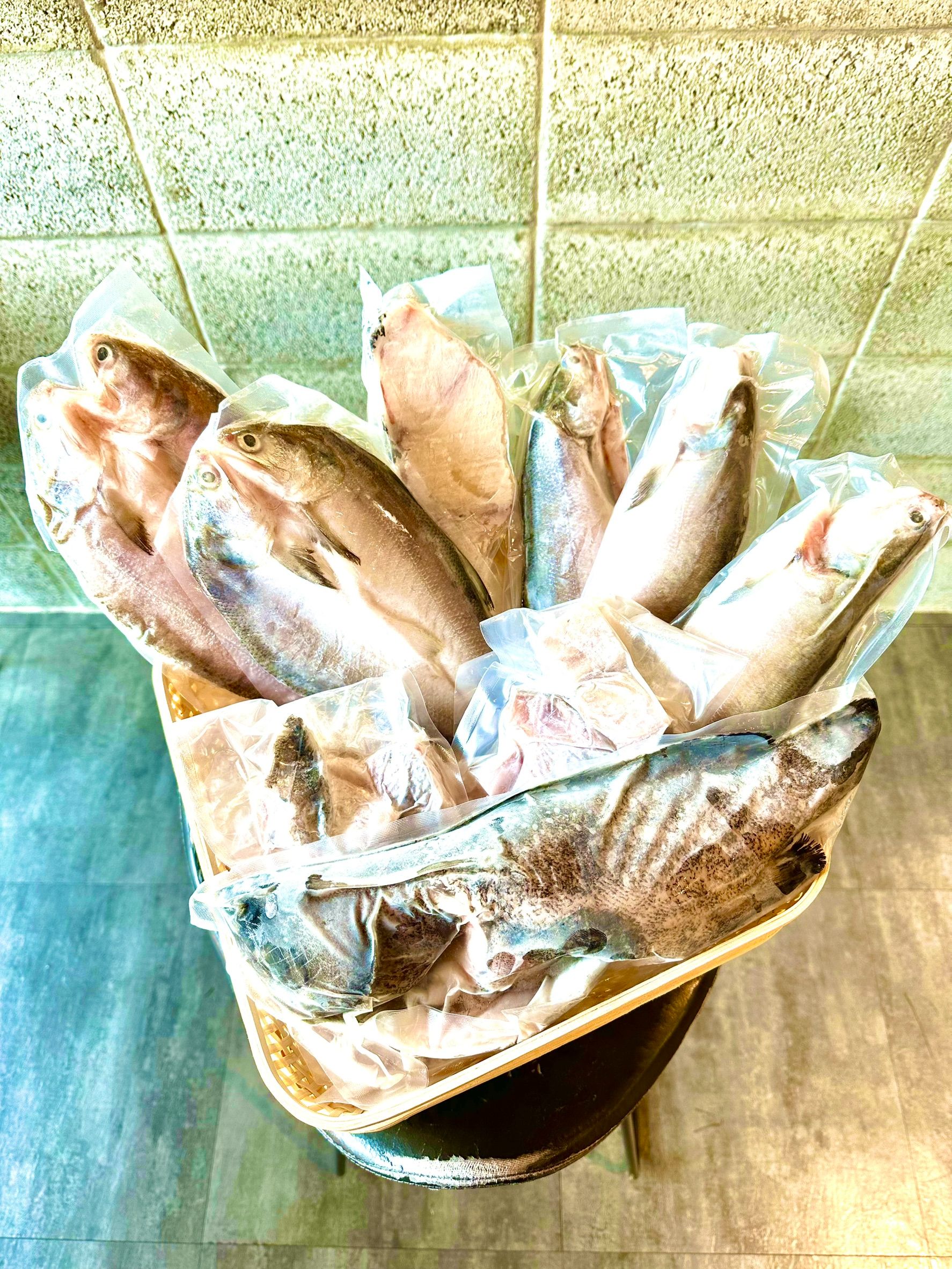 小魚夫自家漁獲禮優惠組（龍馬午春禮盒）