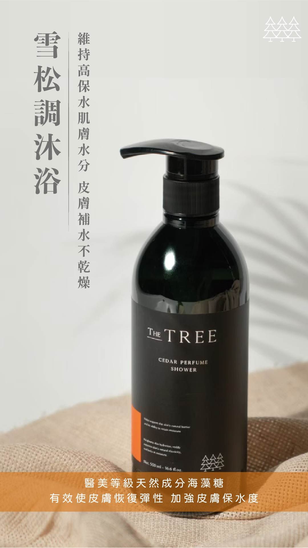 CEDAR 雪松調沐浴