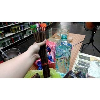 【灩遇閣展示級鬥魚專賣店】泰國手工製作🇹🇭撈蚤網、撈蝦網