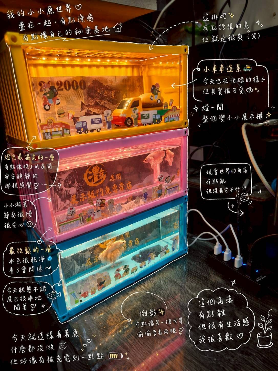 （超取最多下單6個）新款淘氣貨櫃鬥魚缸