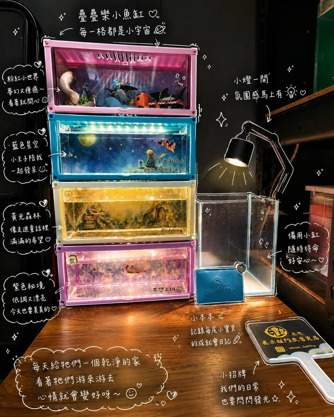 【灩遇閣展示級鬥魚專賣店】（超取最多下單6個）新款淘氣貨櫃鬥魚缸🔸獨家燈條保固一年🔸