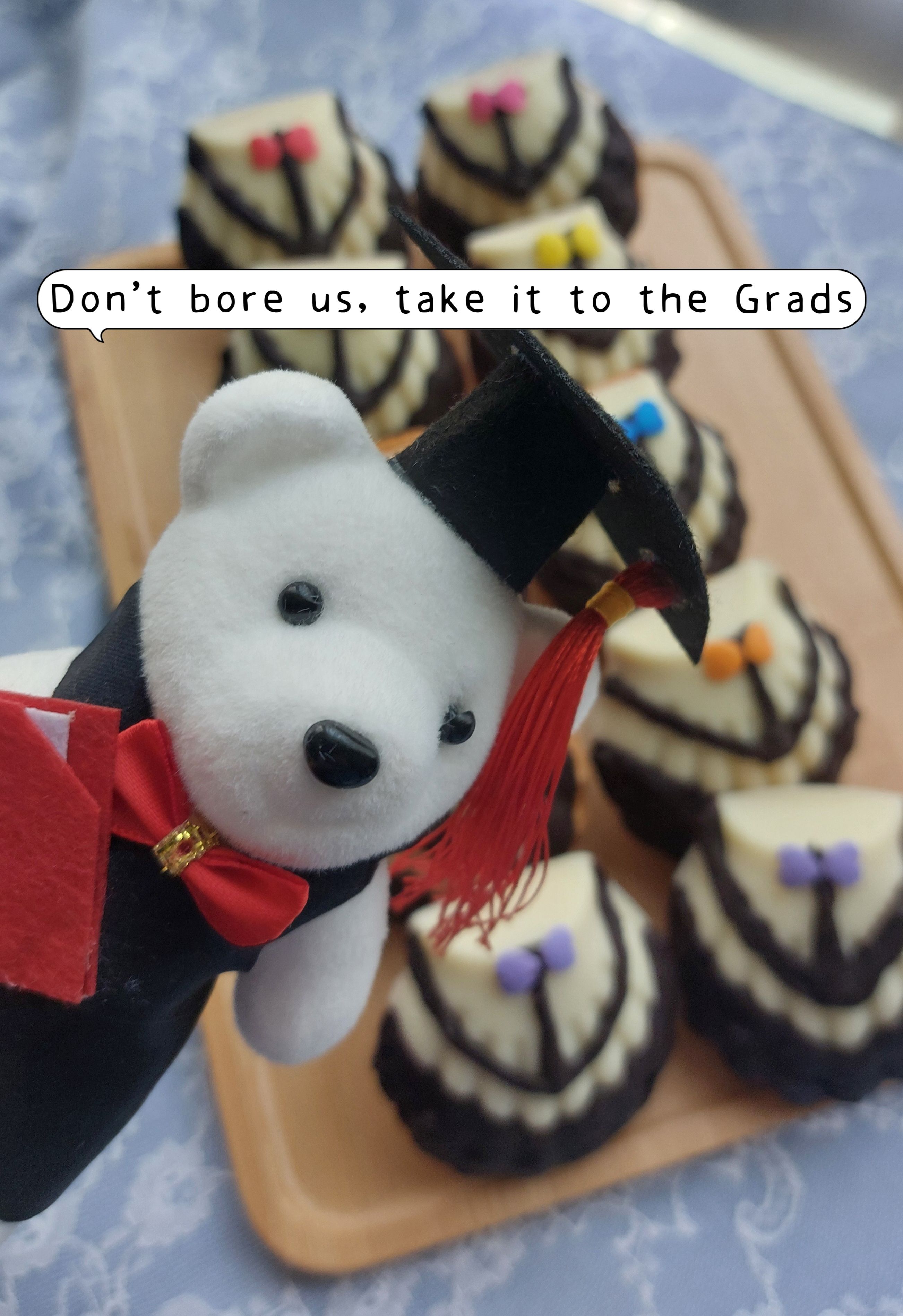 畢業禮 小熊 瑪德蓮花束