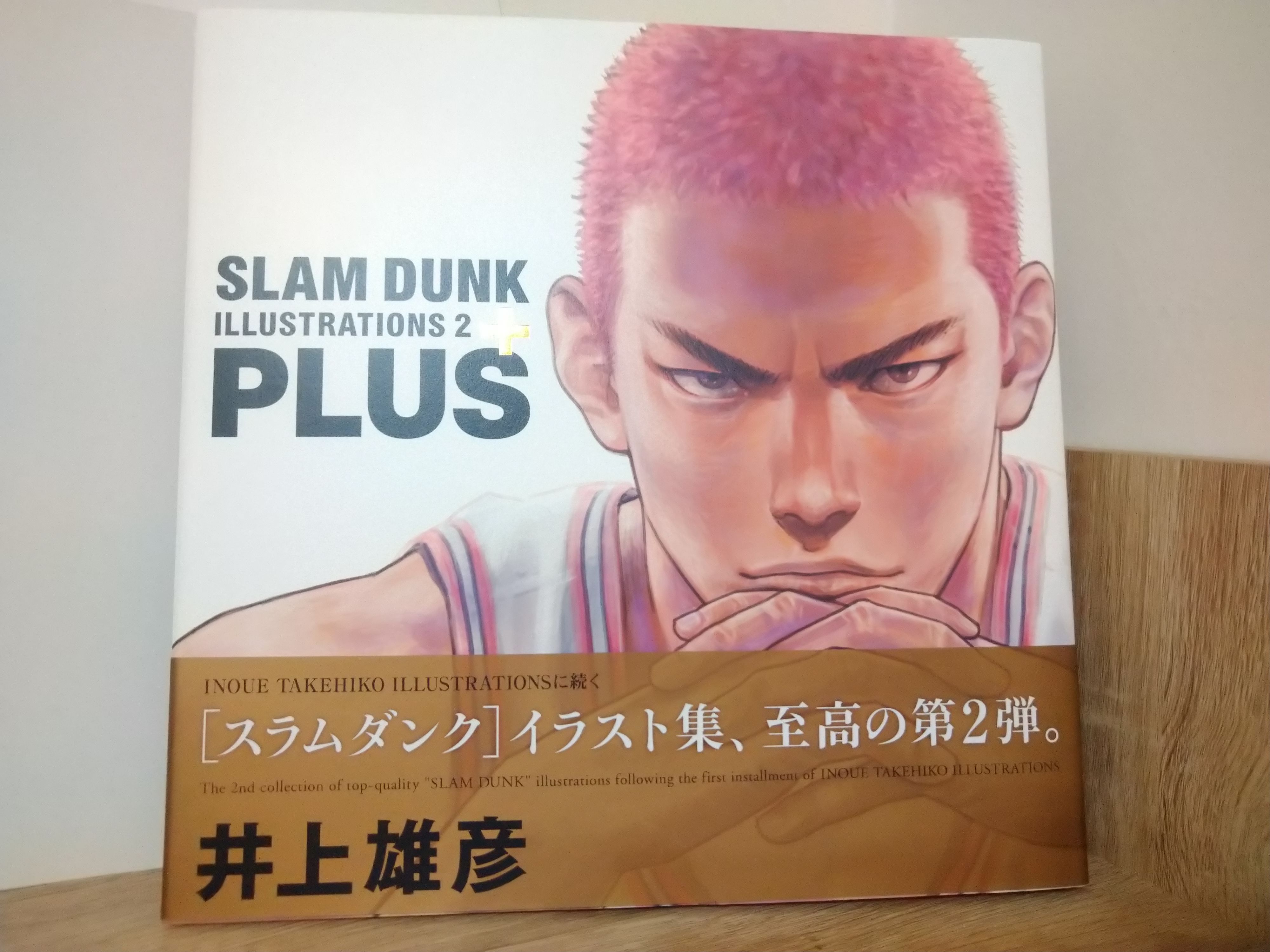 井上雄彥畫冊 PLUS / SLAM DUNK ILLUSTRATIONS 2