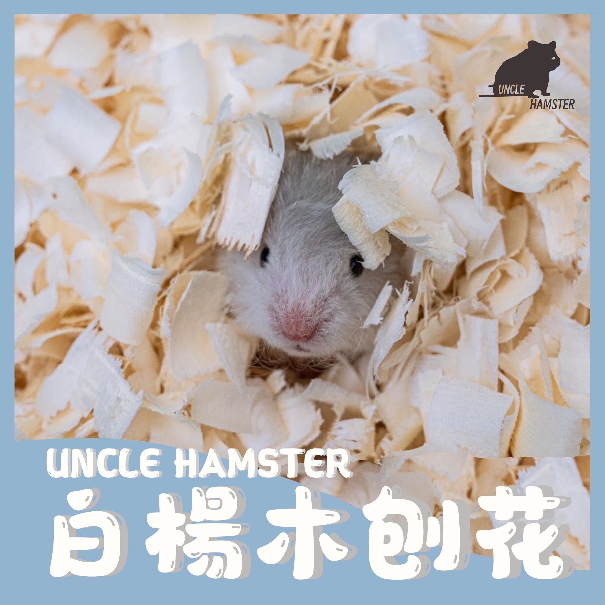 白楊木刨花
