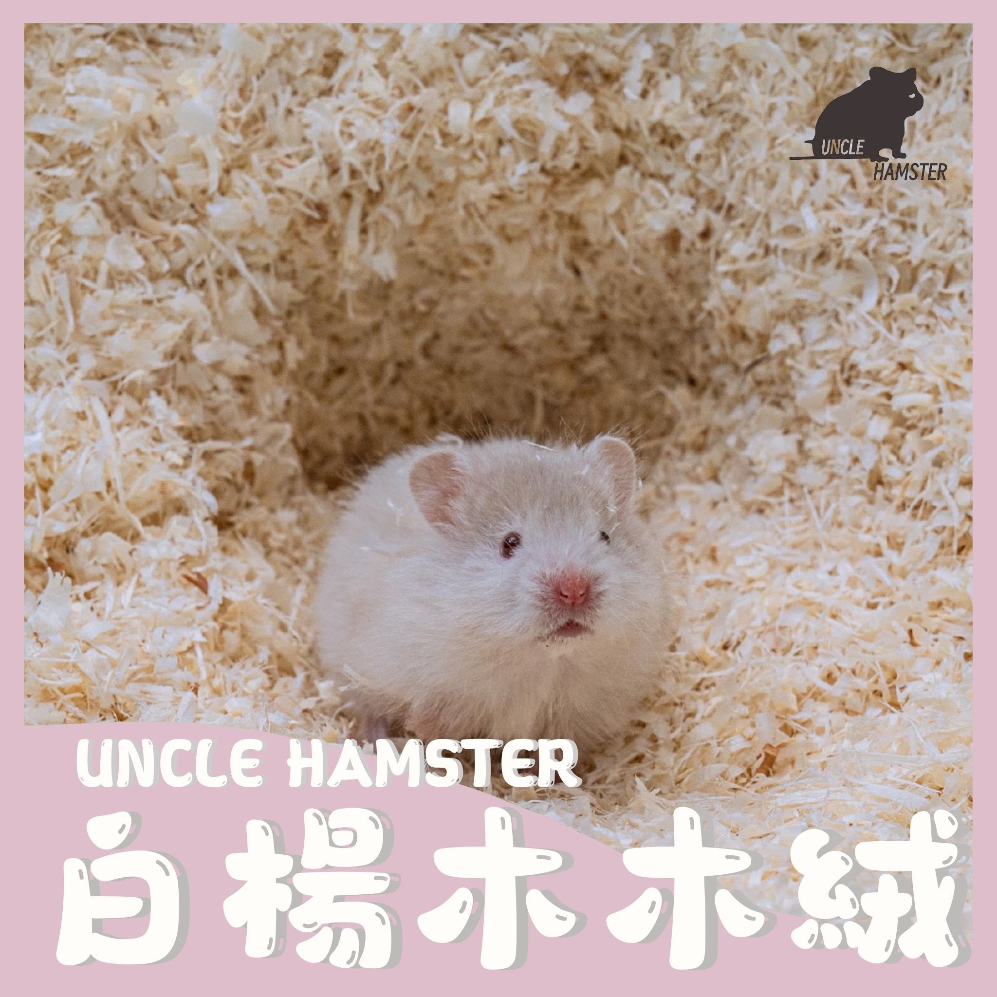 白楊木木絨