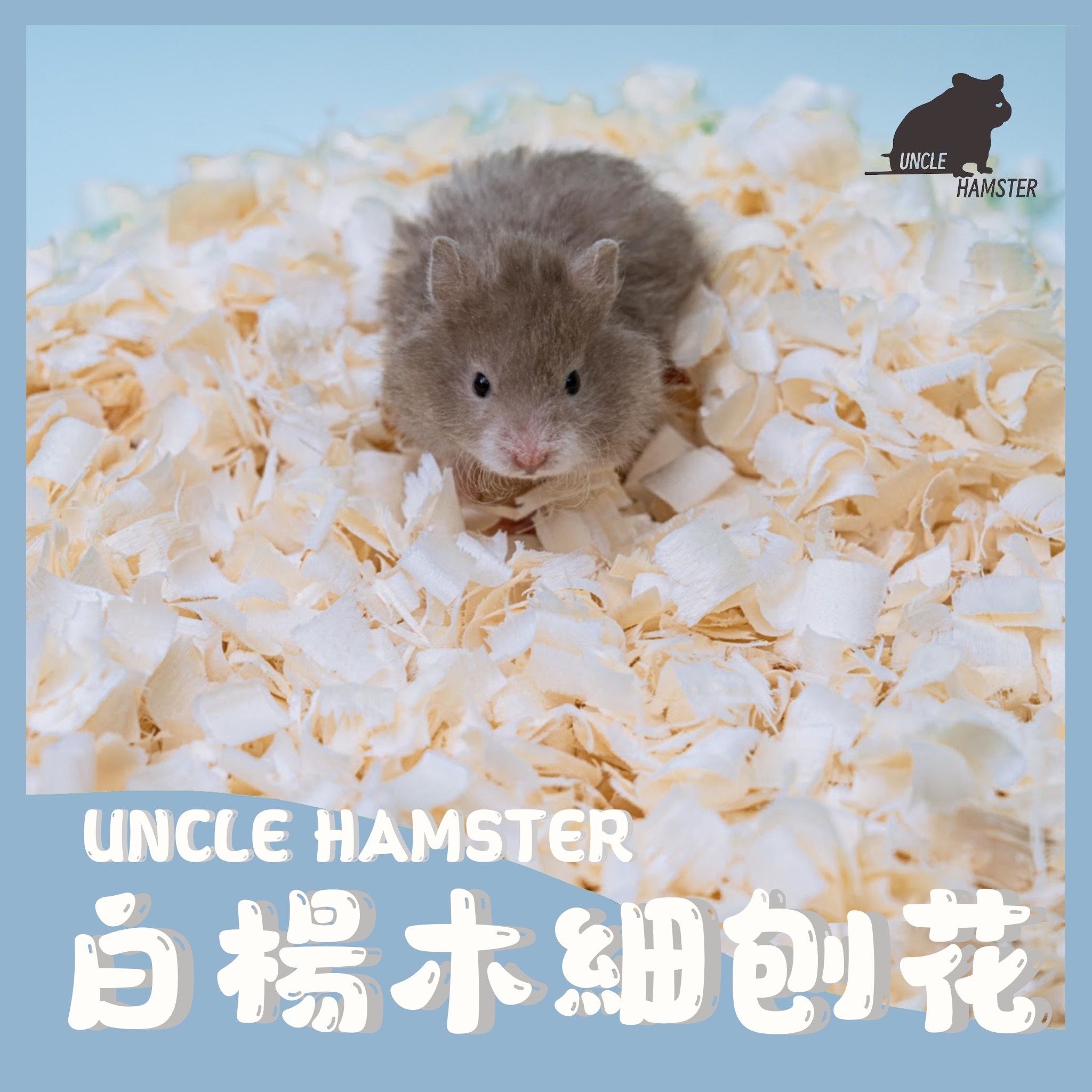白楊木細刨花