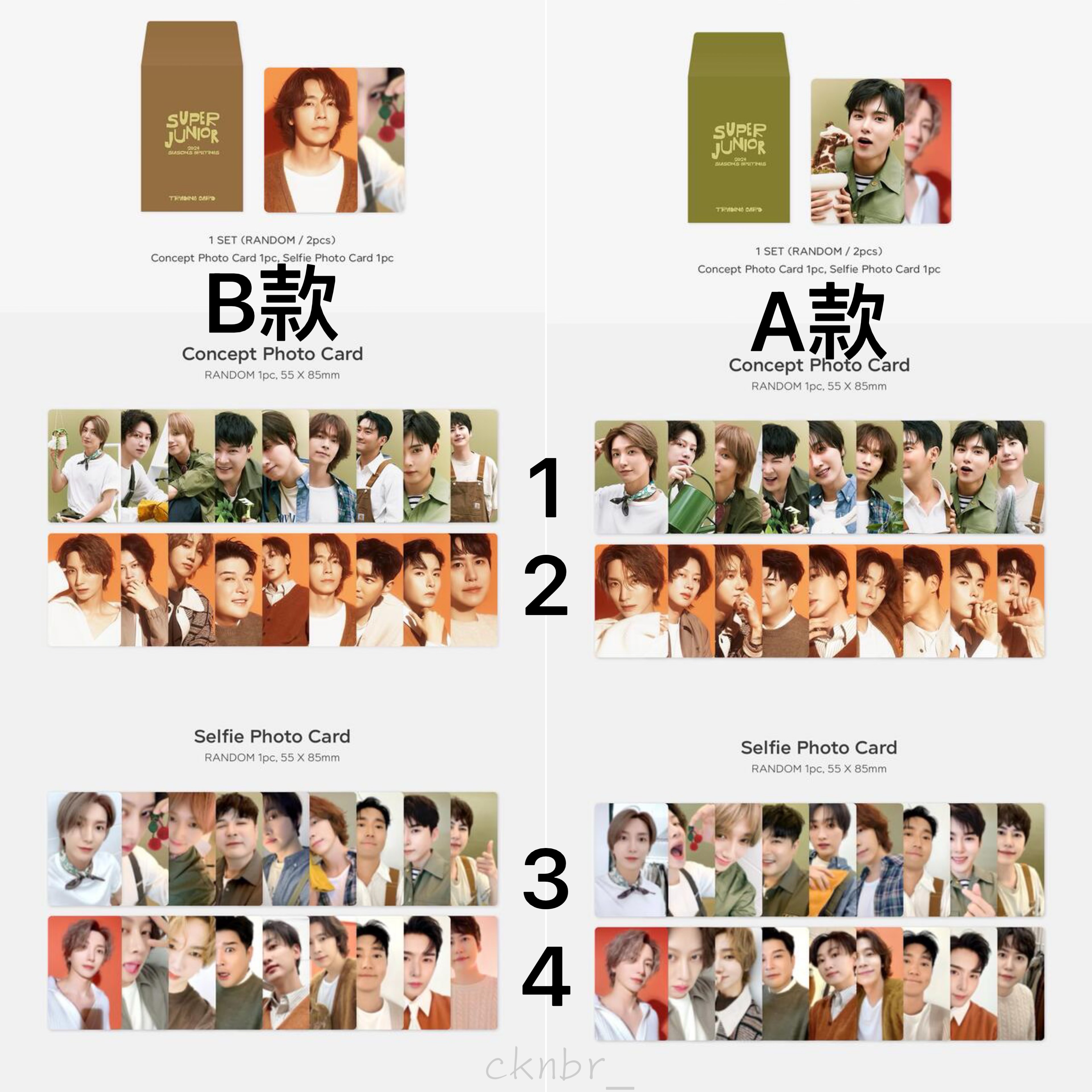 2024年曆小卡（兩張一組/不拆售）