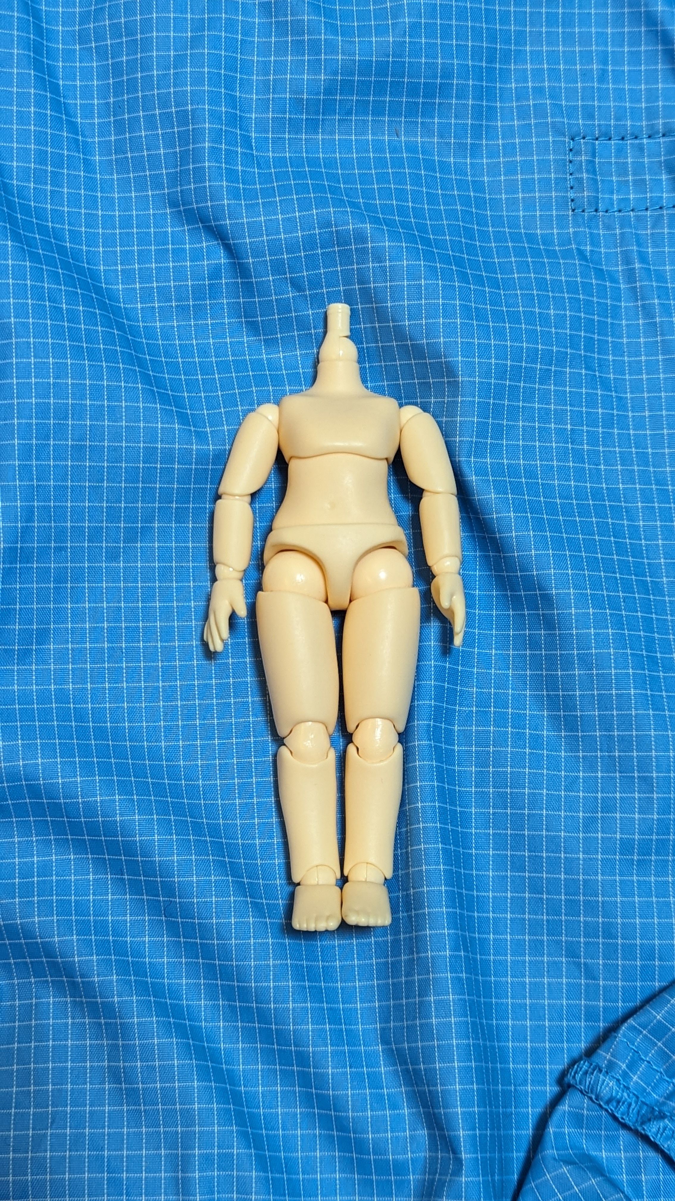 新版piccodo10素體普肌