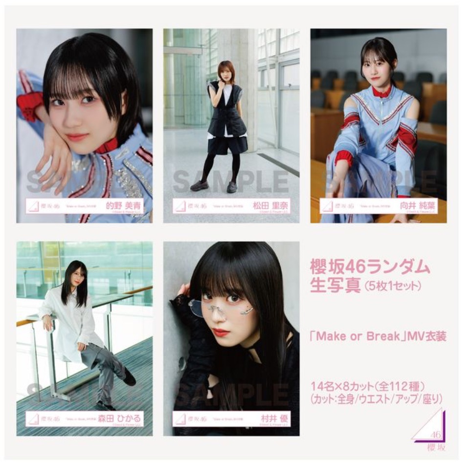 ★墾田永年私財法★櫻坂46生写真セット 櫻坂各式成套生寫真