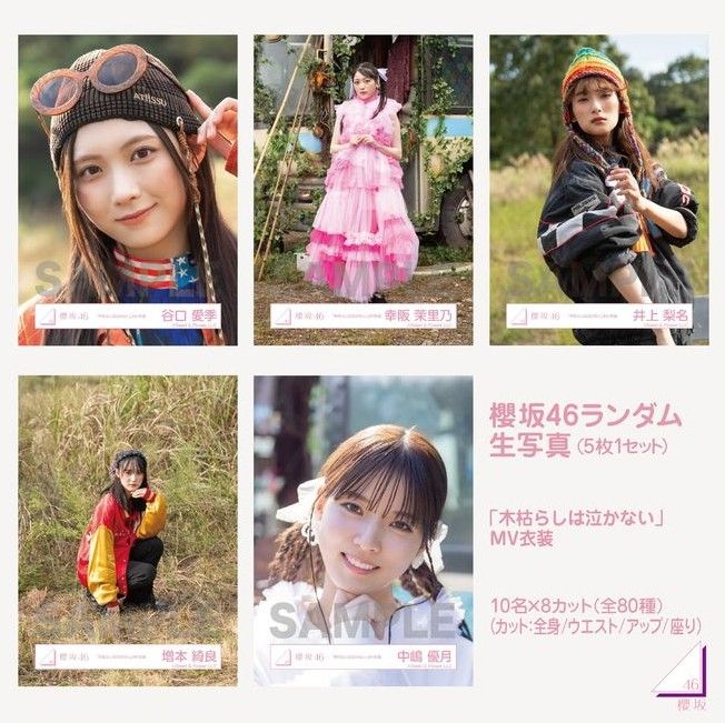 櫻坂 木枯らしは泣かないMV 生寫真