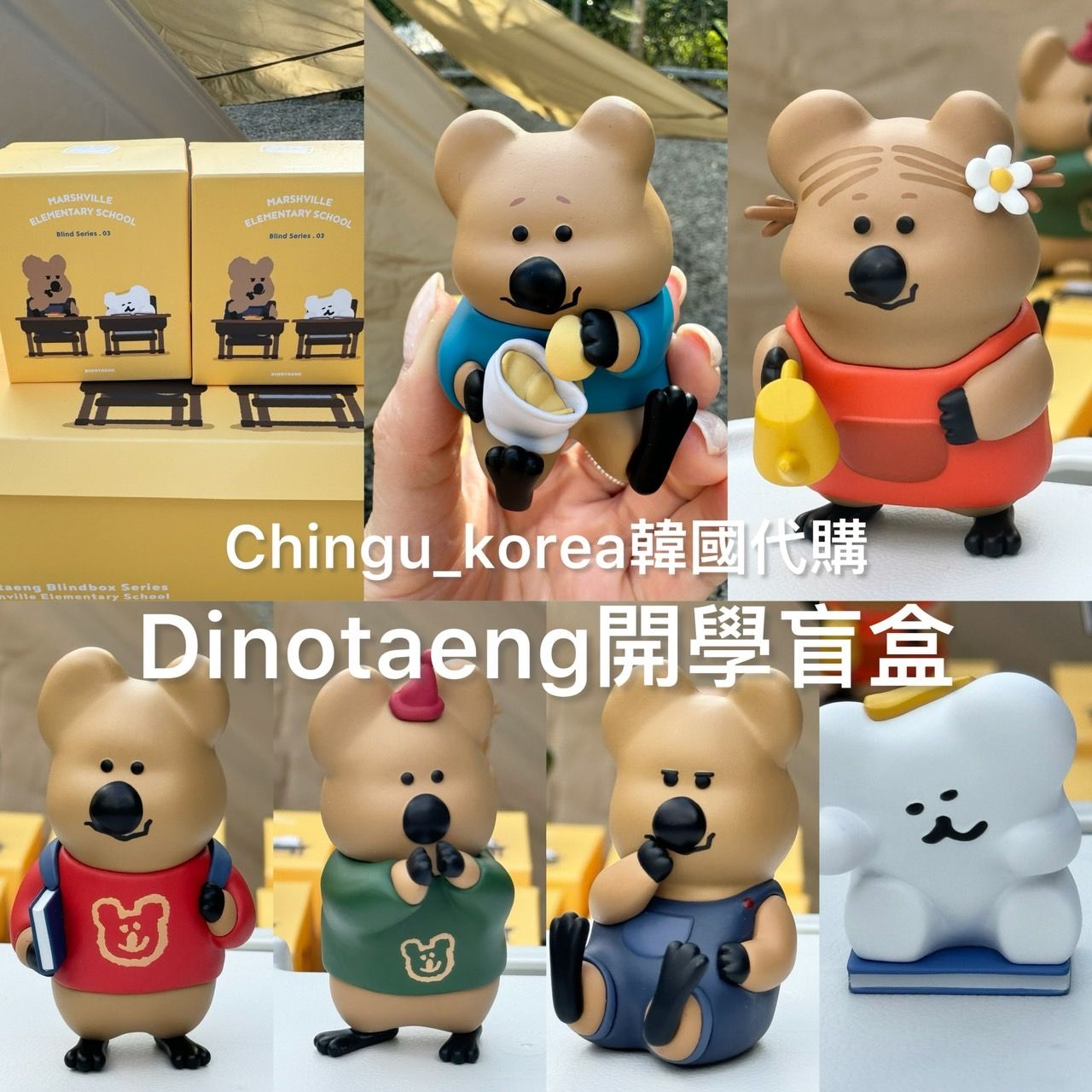 Dinotaeng-📢開學系列盲盒