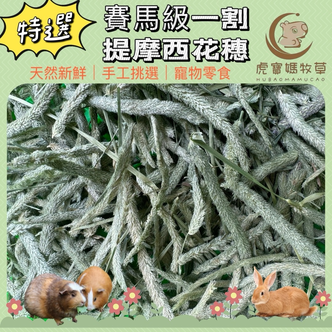 🌿🐯虎寶媽🌿兔子寵物牧草 賽馬級提摩西花穗 小寵零食 天然營養 兔子零食 天竺鼠零食 龍貓零食🌟現貨🌟