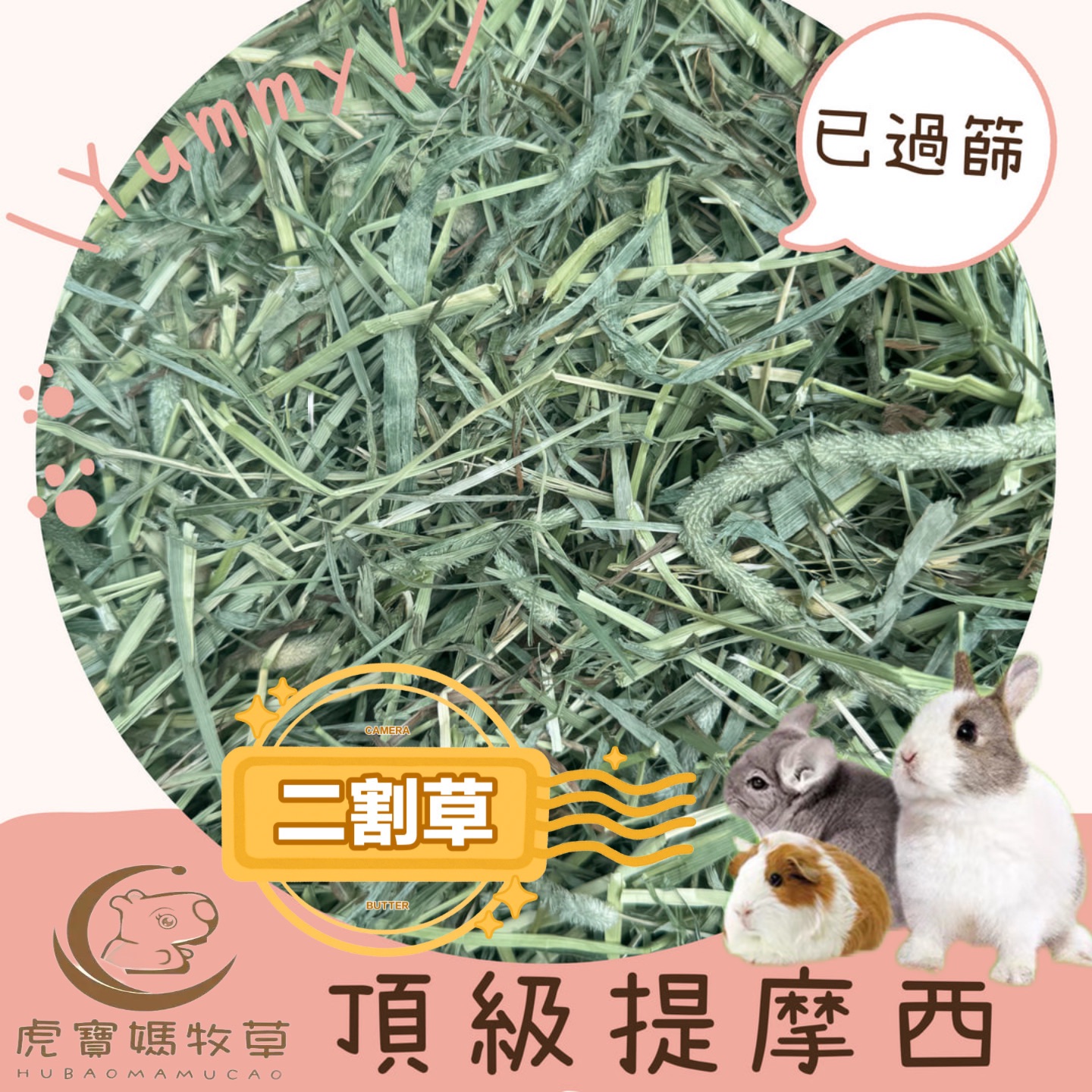 🌿🐯虎寶媽🌿寵物牧草 頂級提摩西二割賽馬級提摩西一、二割梗明顯 🌟現貨免運🌟陸龜🐢天竺鼠萌兔🐰