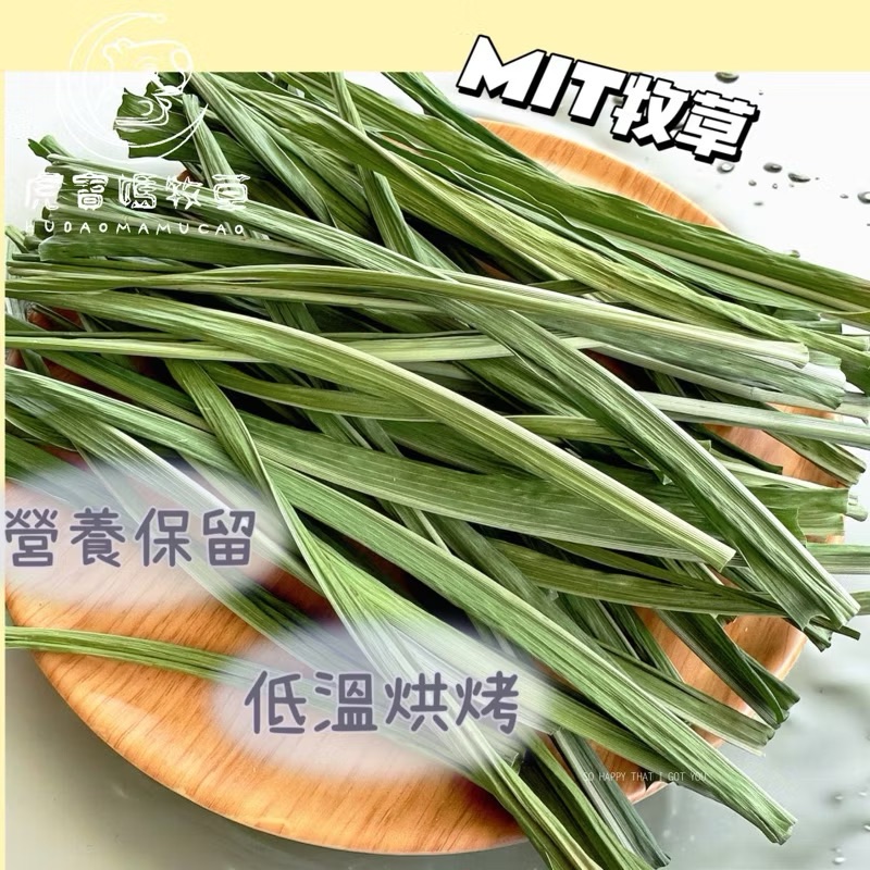 🐯虎寶媽牧草🌱乾燥狼尾草 低溫烘乾 營養保留 台灣小農 無農藥 寵物零食點心寵物牧草