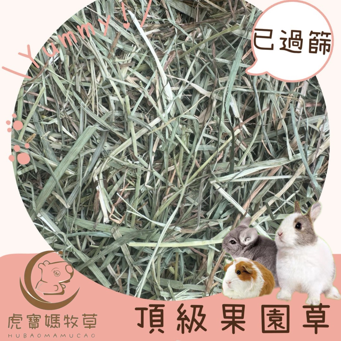 🐯虎寶媽牧草 頂級全葉果園草