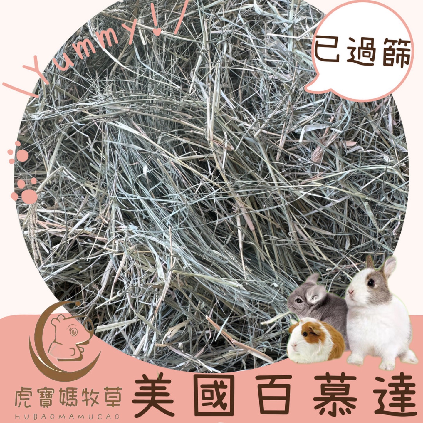 🌿🐯虎寶媽🌿寵物牧草 現貨🌟美國進口百慕達草 水豚君 兔子陸龜🐢🐰天竺鼠 寵物墊料