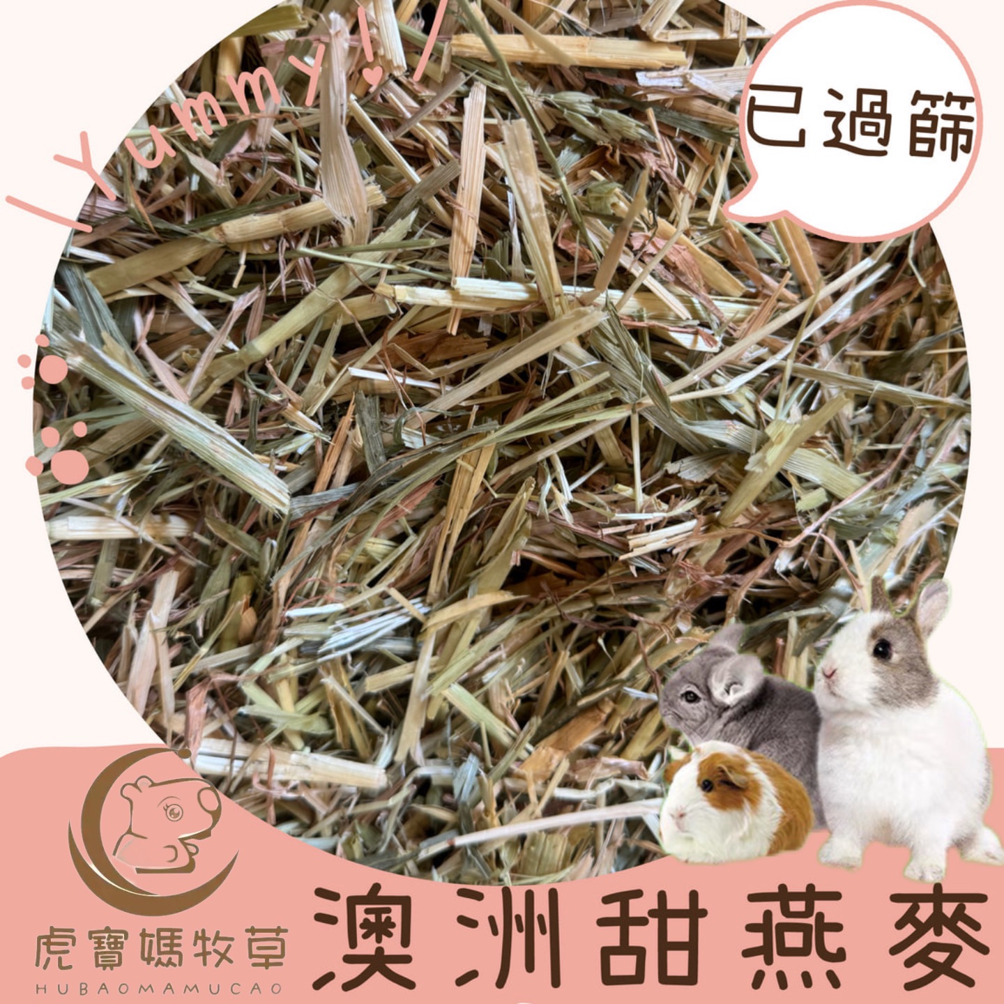 🌿🐯虎寶媽🌿🌟免運 現貨🌟 澳洲進口黃金甜燕麥陸龜🐢萌兔🐰天竺鼠