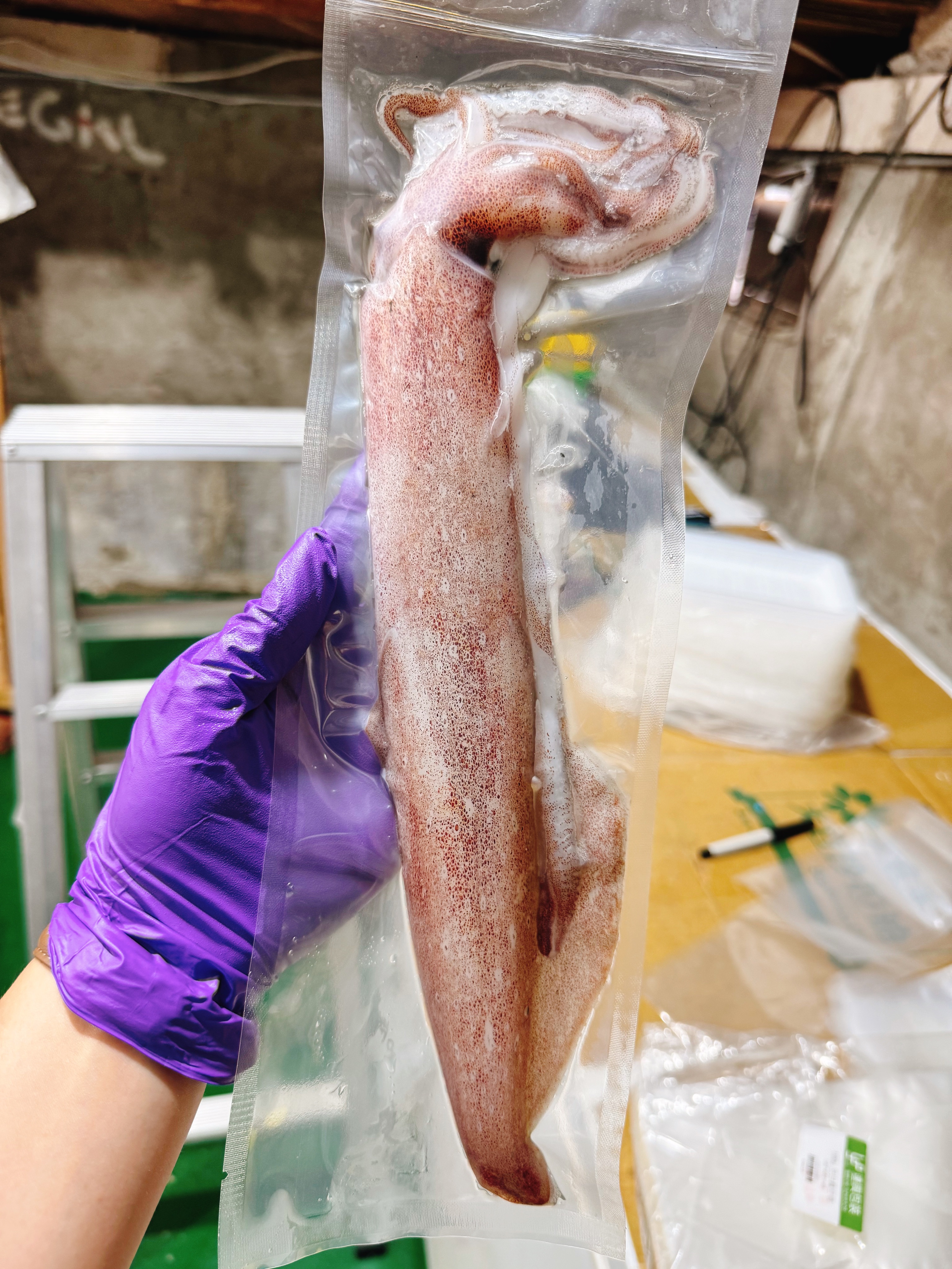 澎湖｜新鮮小管