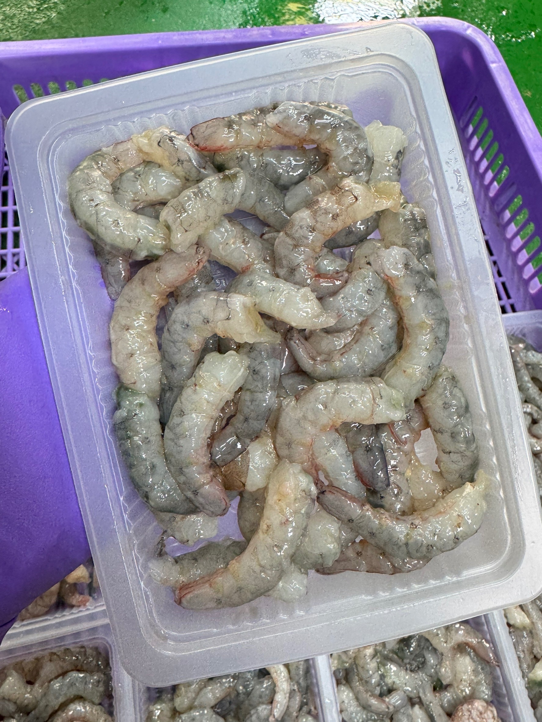蝦仁組合🍤