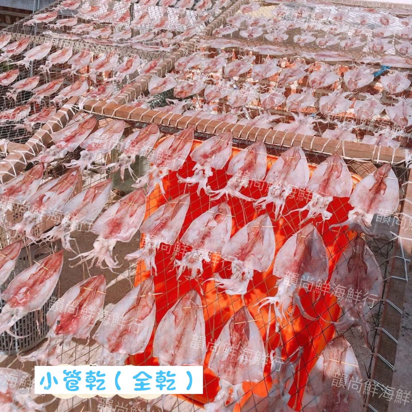 澎湖小管乾（全乾）