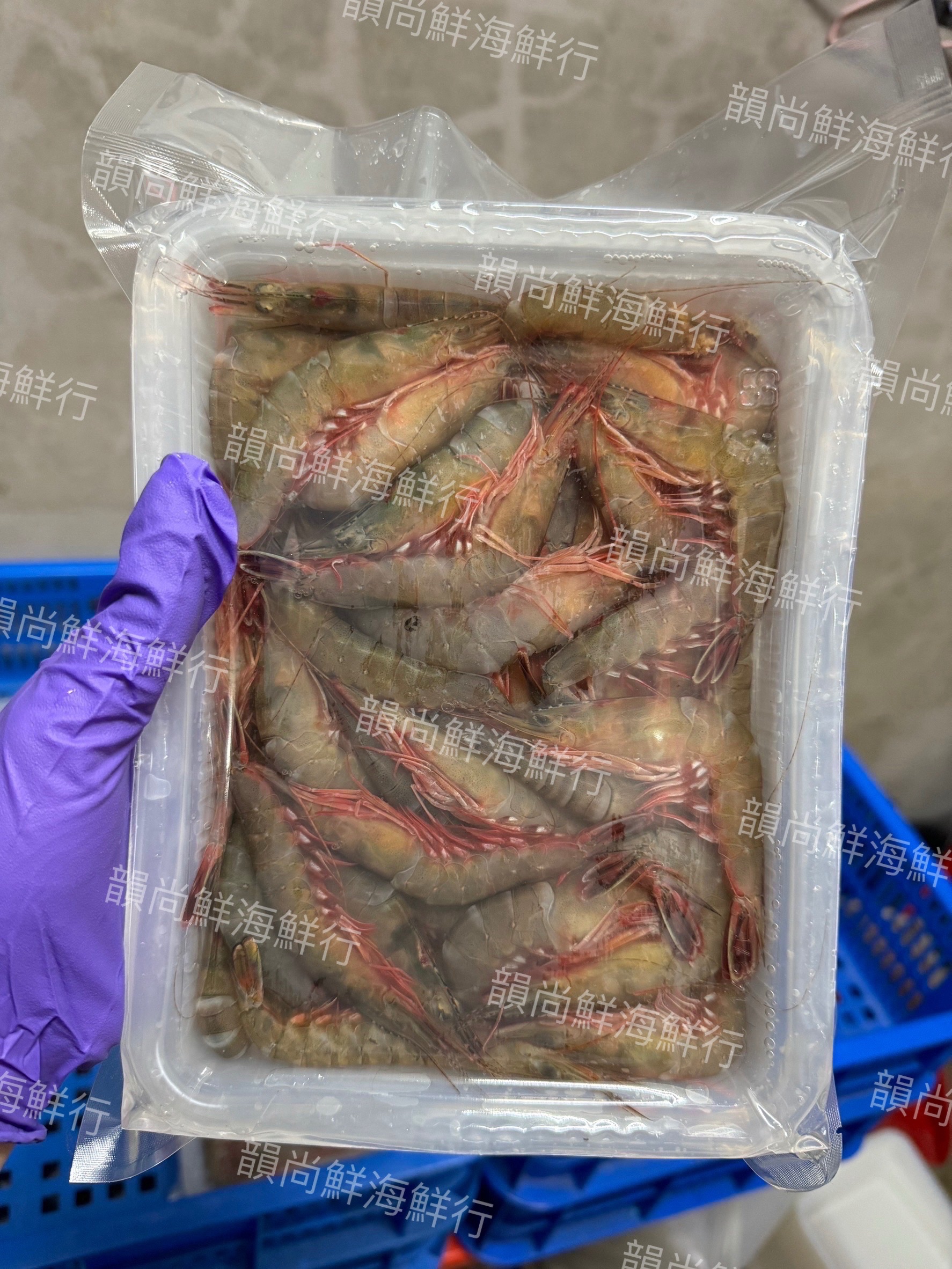 雙蝦組合🦐