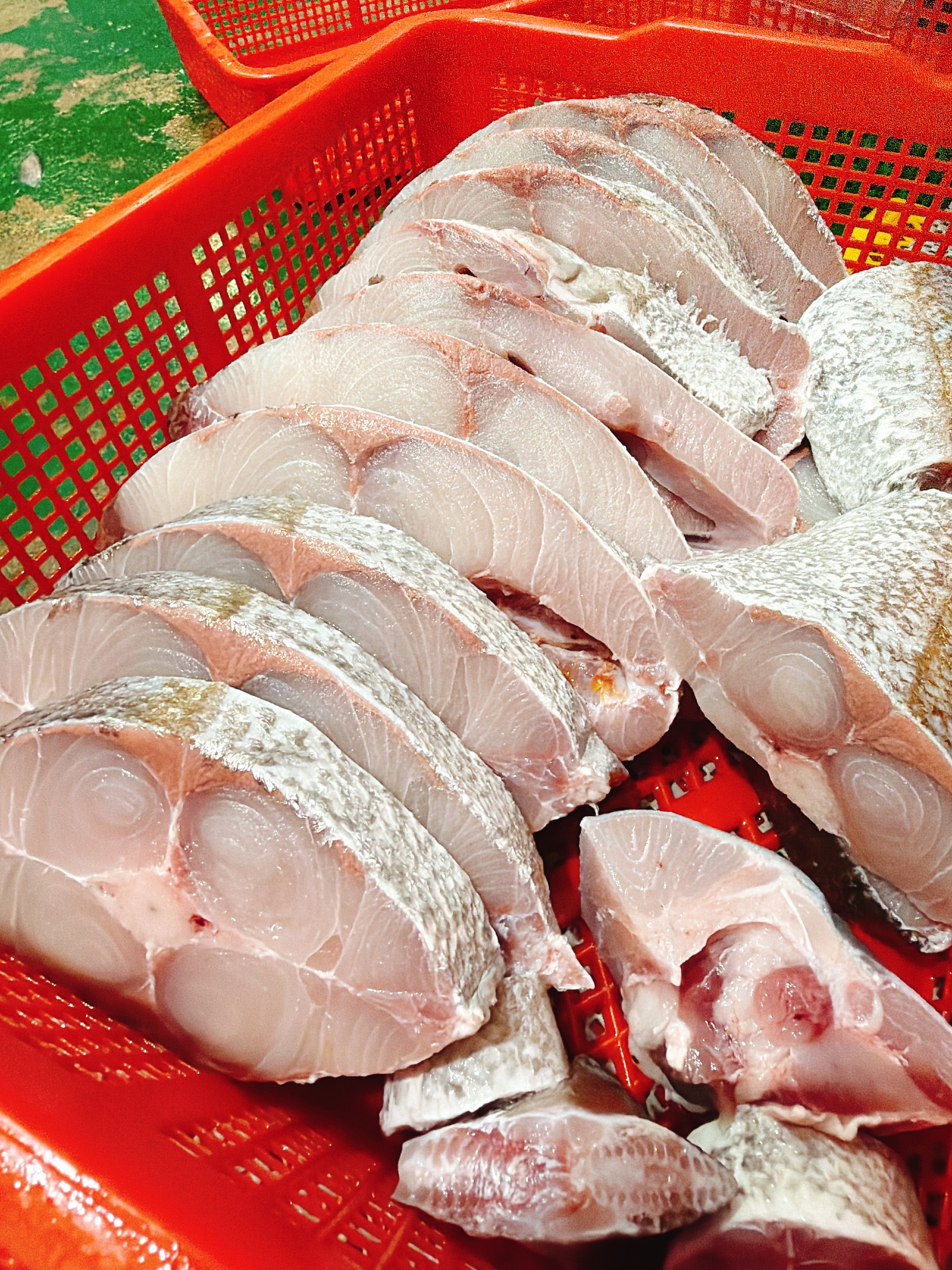 澎湖手釣紅甘魚