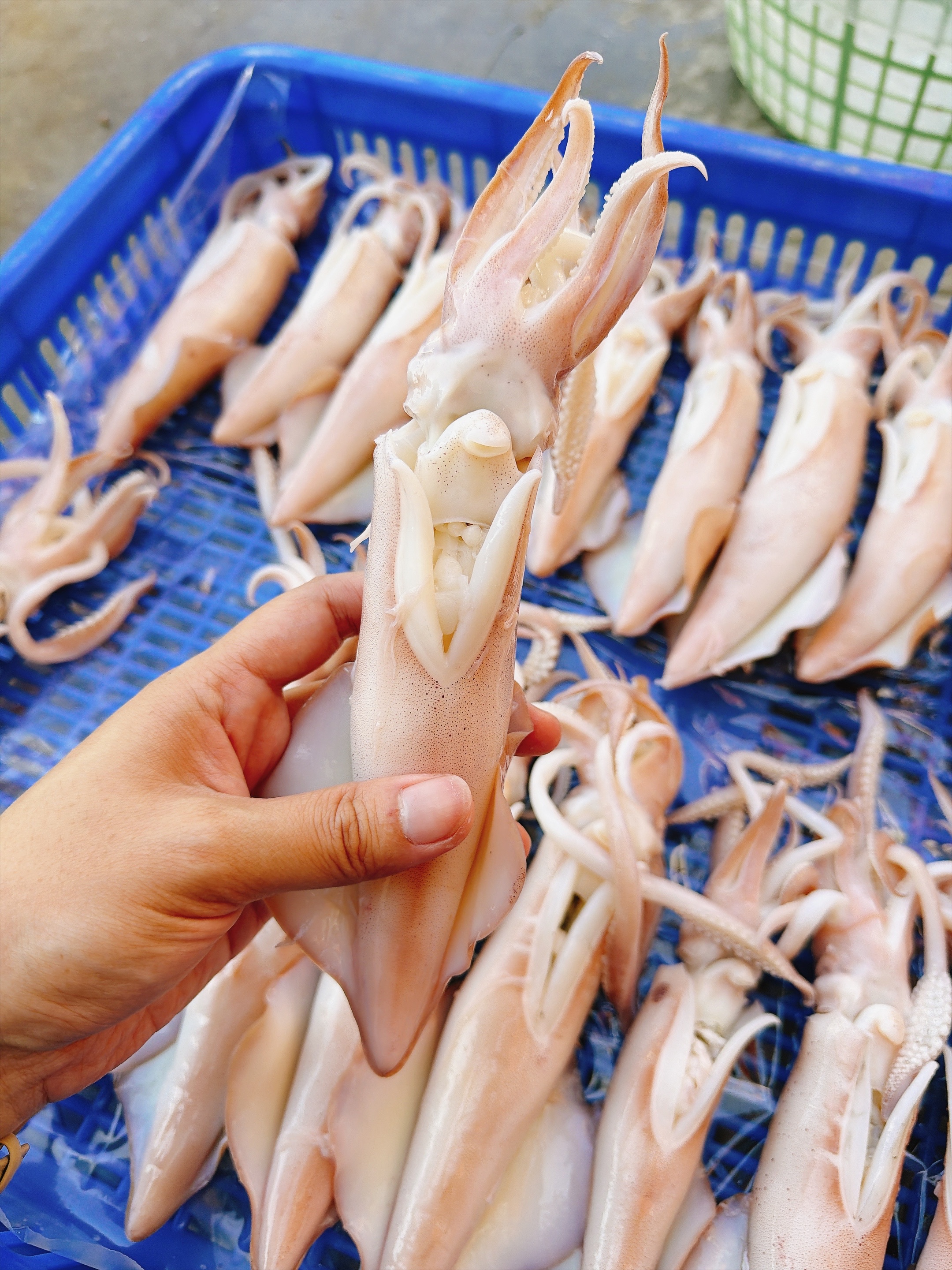 🦑【澎湖爆蛋冰卷】🦑