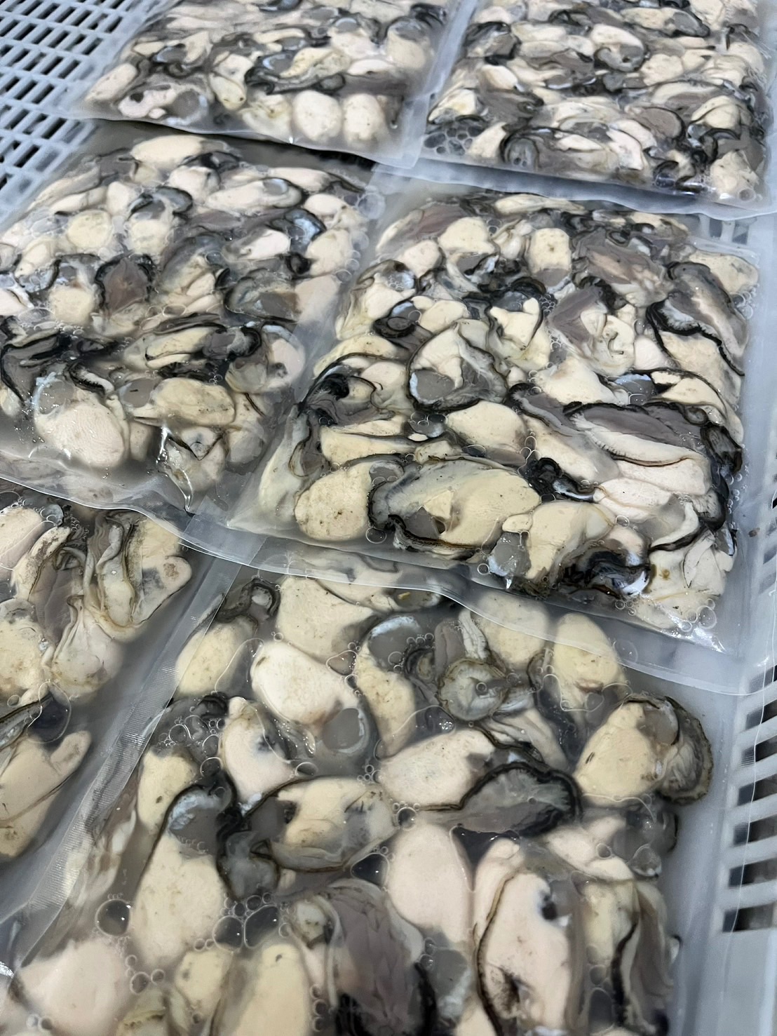 鮮甜牡蠣肉 🦪