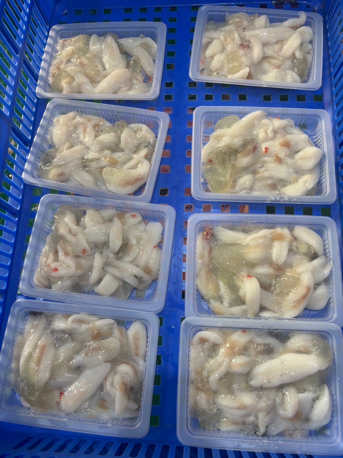 🦑 澎湖野生小管蛋