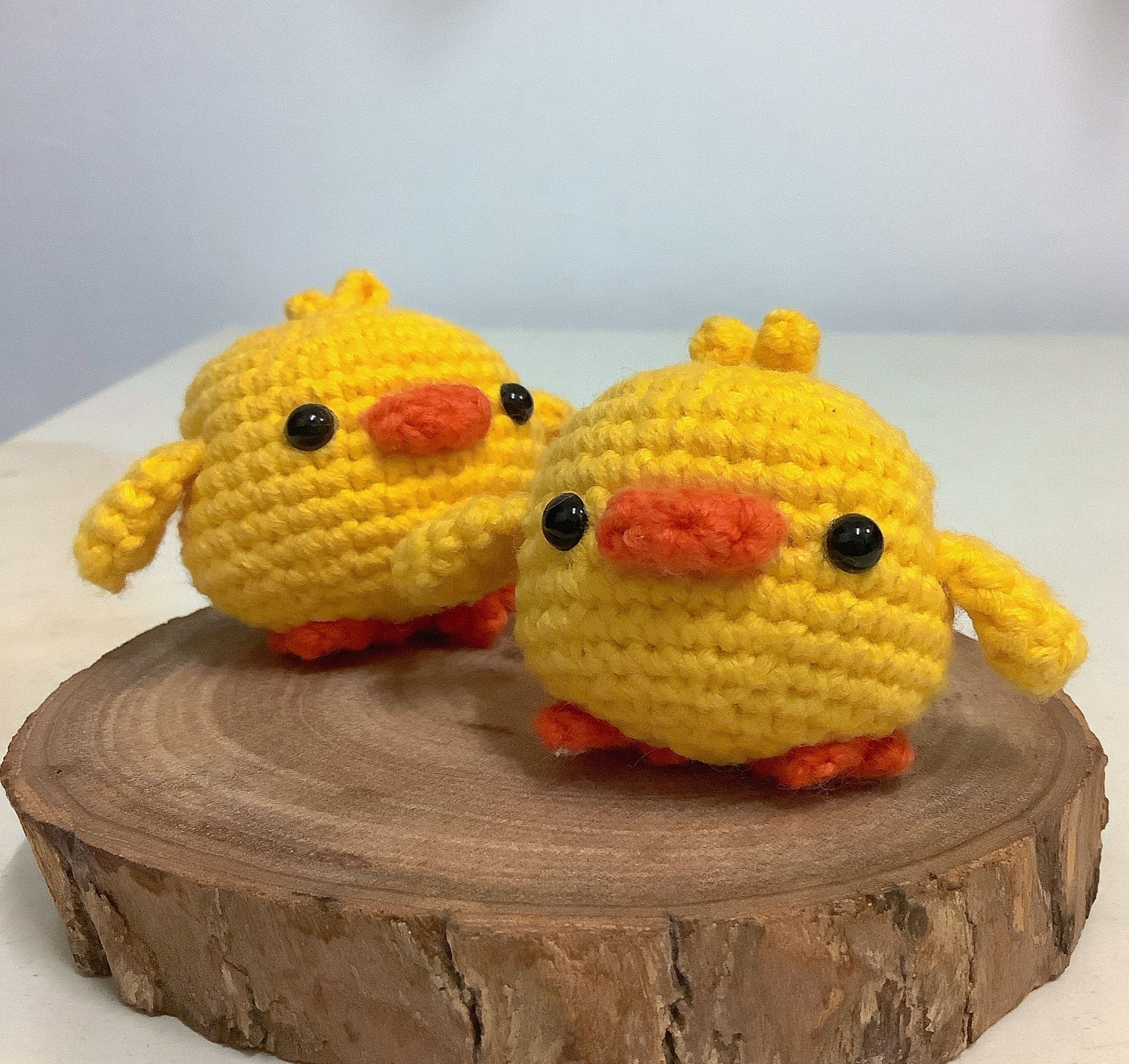 🐥滾滾小雞