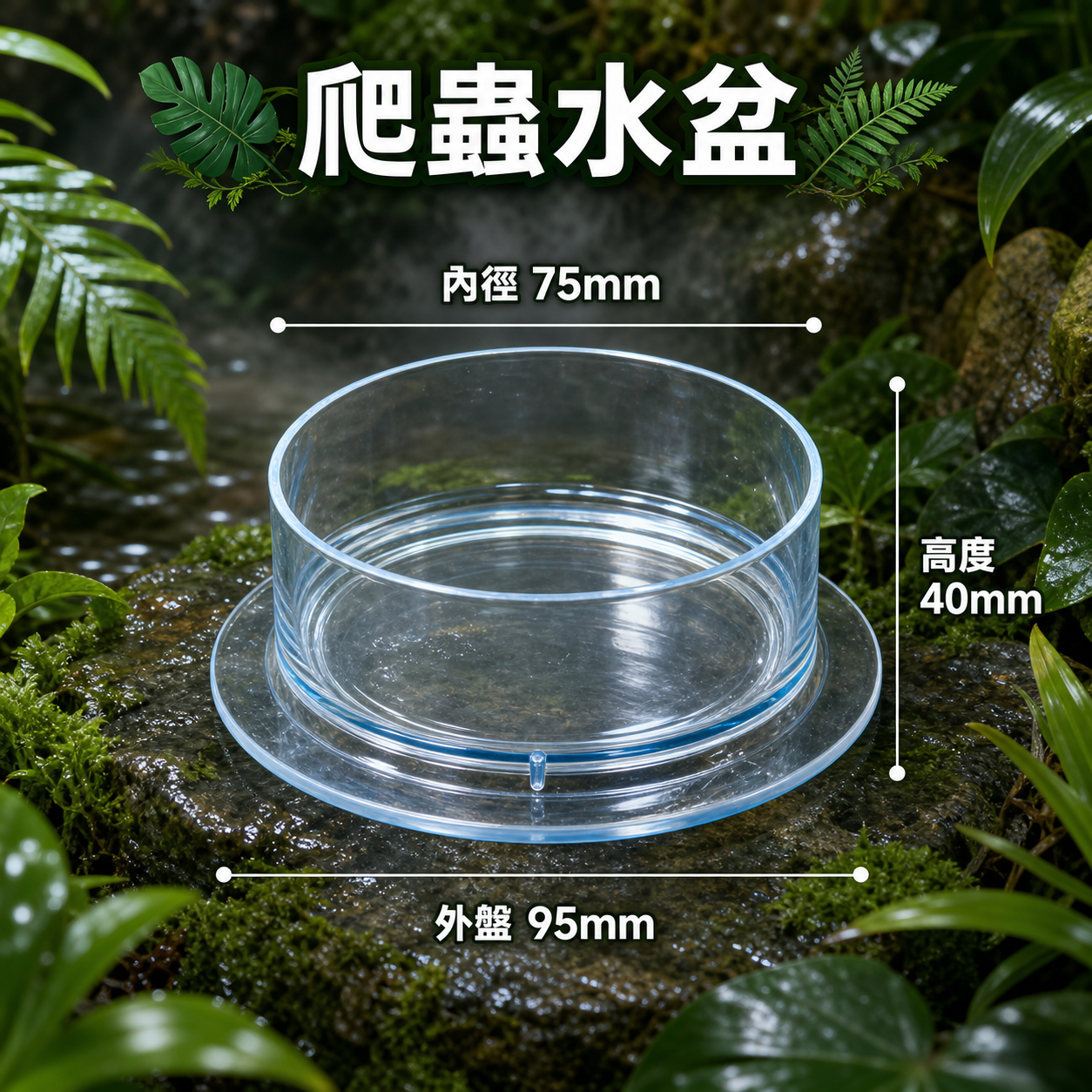寵物水盆
