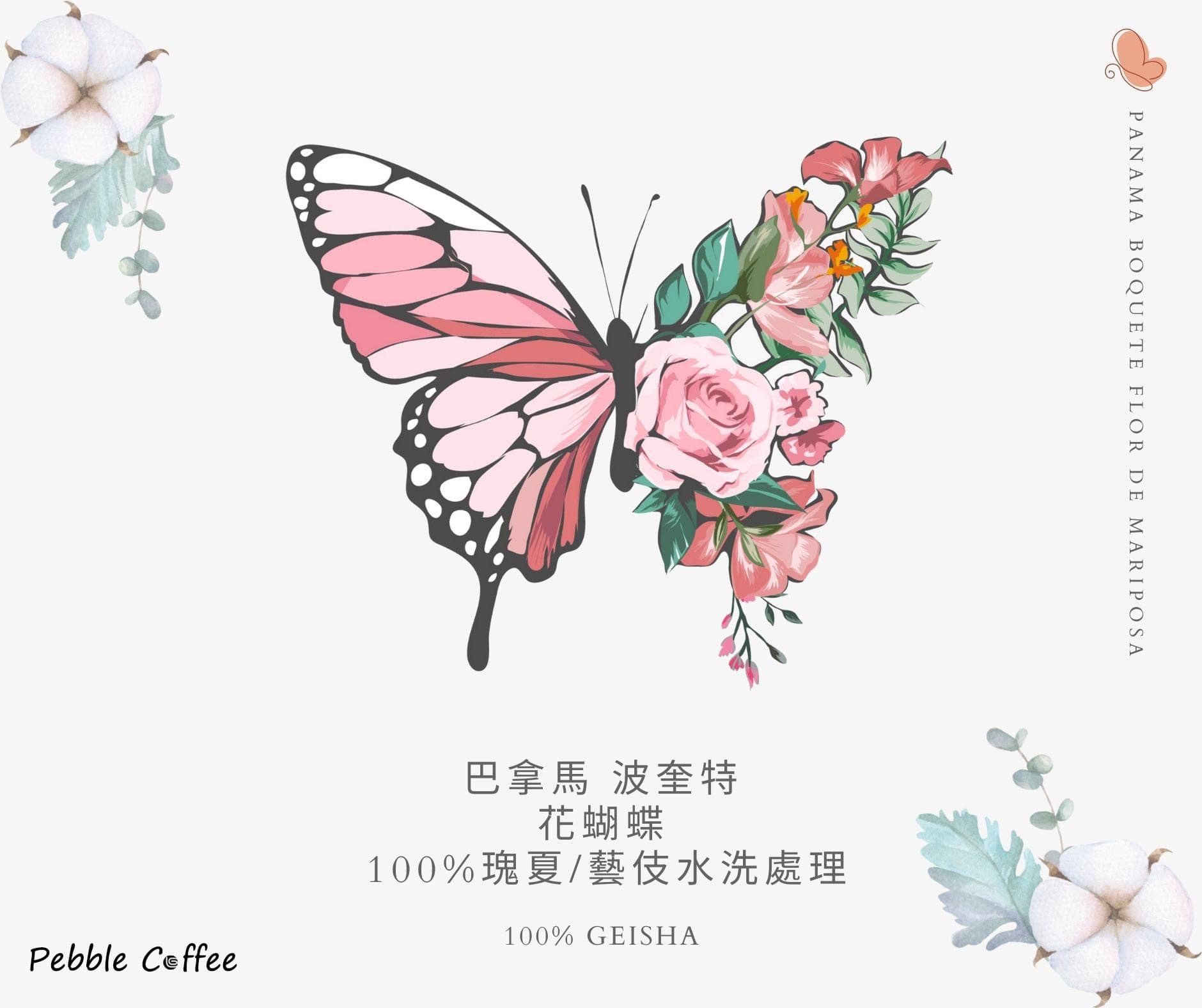 精品咖啡豆淺培 1/4磅