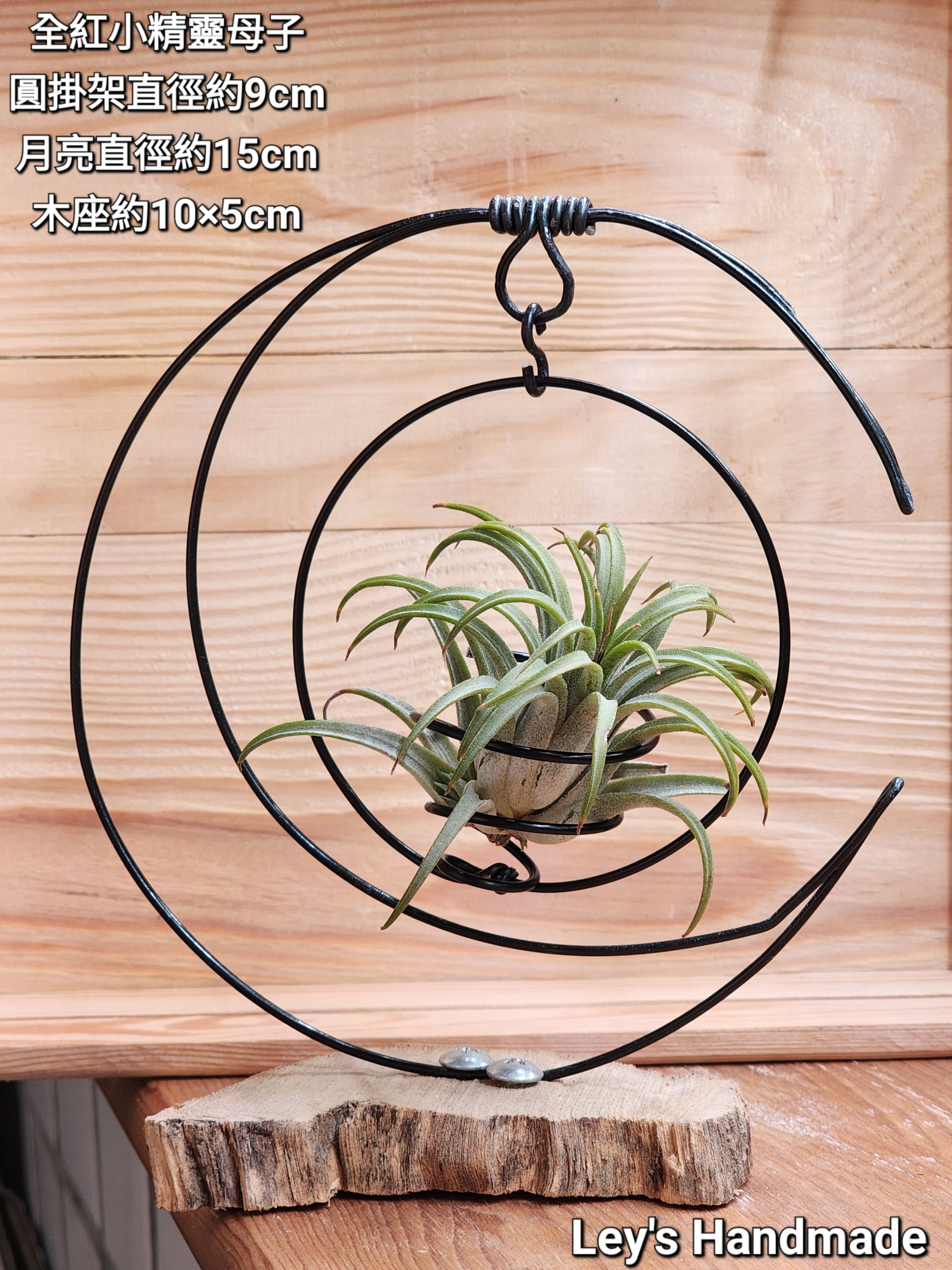 空氣鳳梨月亮鋁線座組